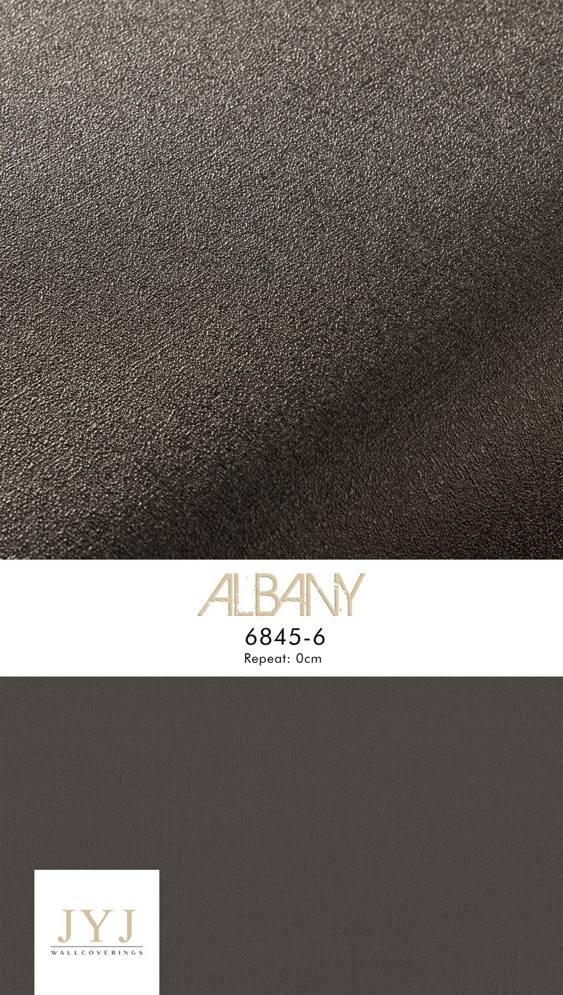 Giấy dán tường Albany màu đen 6845-6